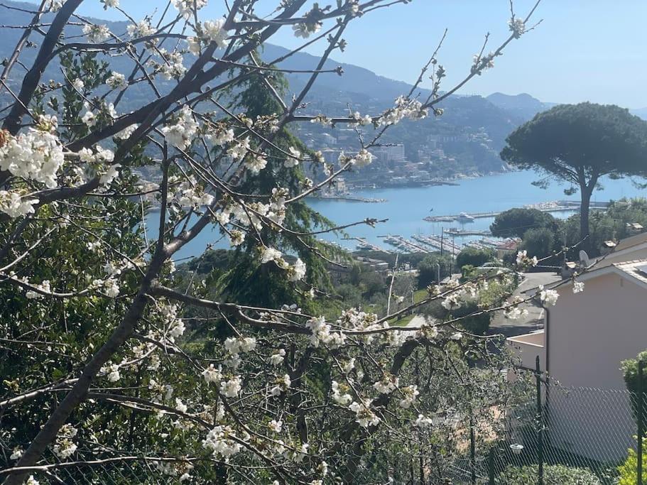 Casa Carmen Rapallo Citra 010046-Lt-2165 외부 사진